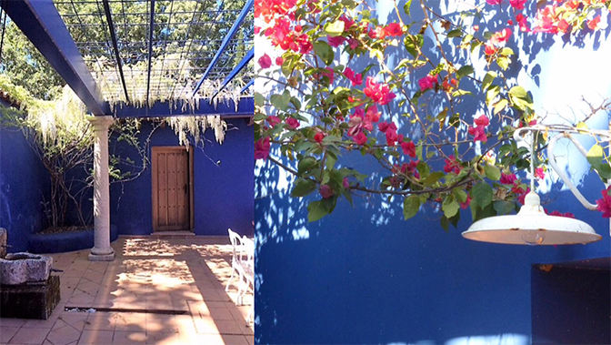 Ninoska-el-patio-azul-buganvillas-y-glicinias